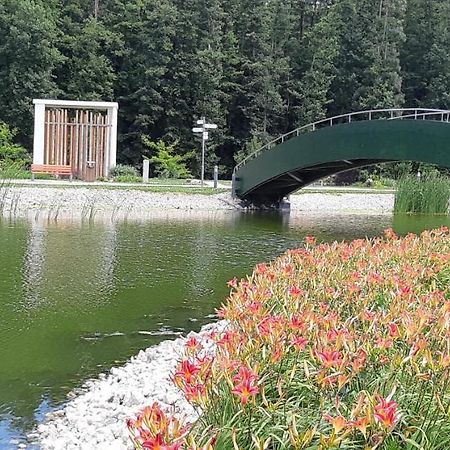 Antal Apartmanok Zalakaros Luaran gambar