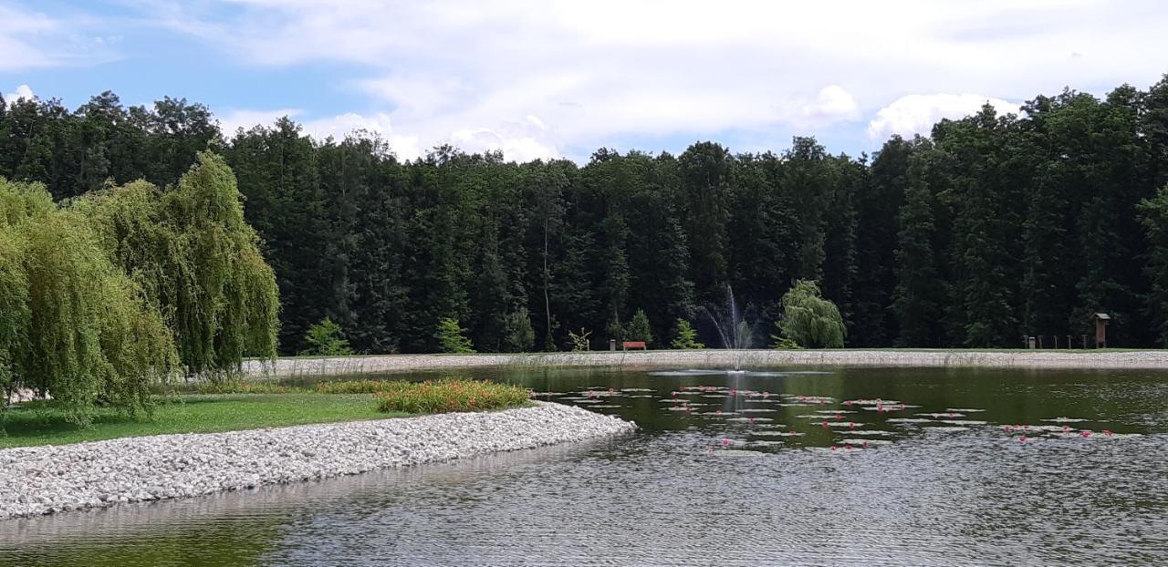 Antal Apartmanok Zalakaros Luaran gambar