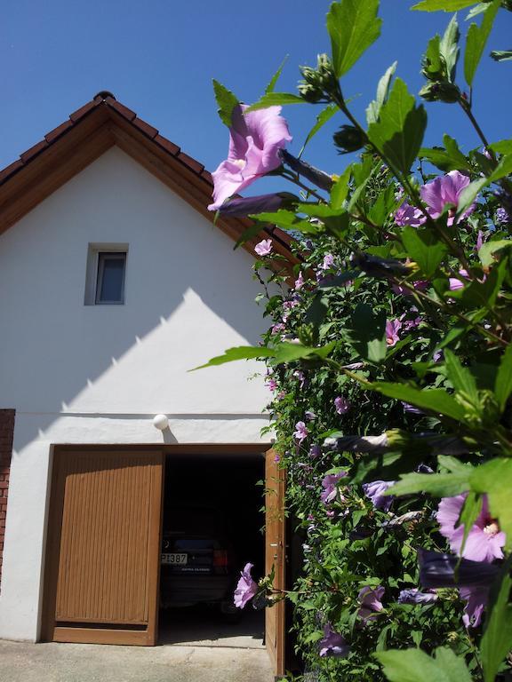 Antal Apartmanok Zalakaros Luaran gambar