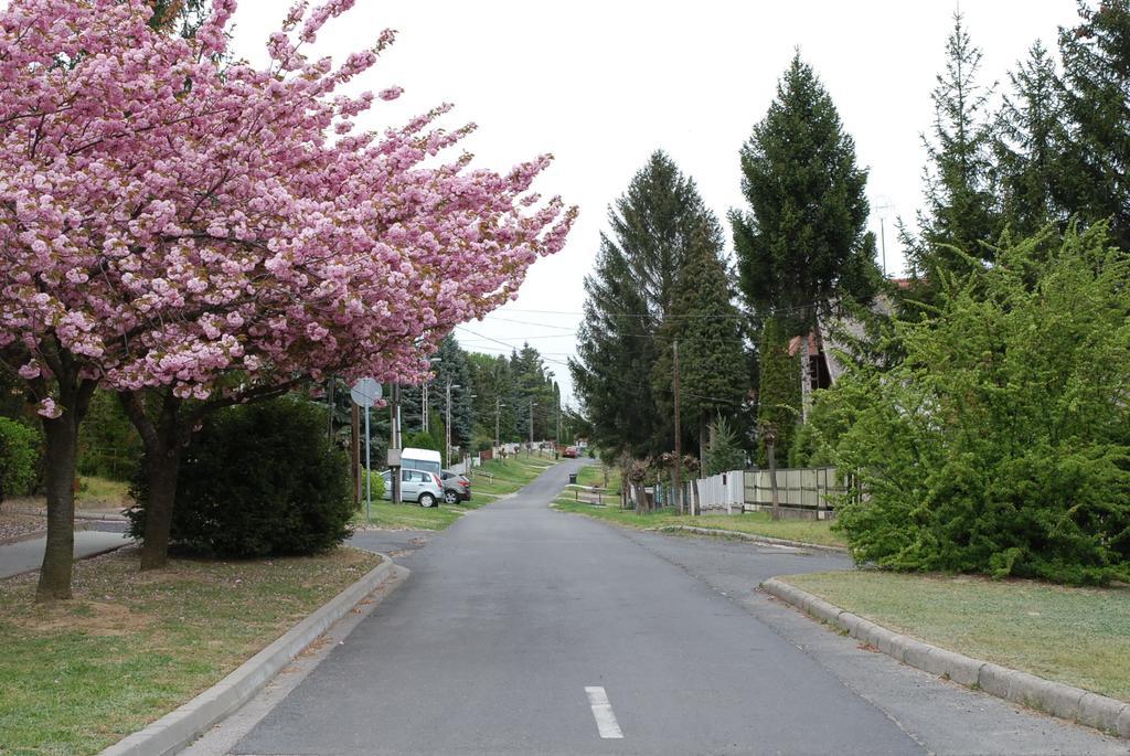 Antal Apartmanok Zalakaros Luaran gambar
